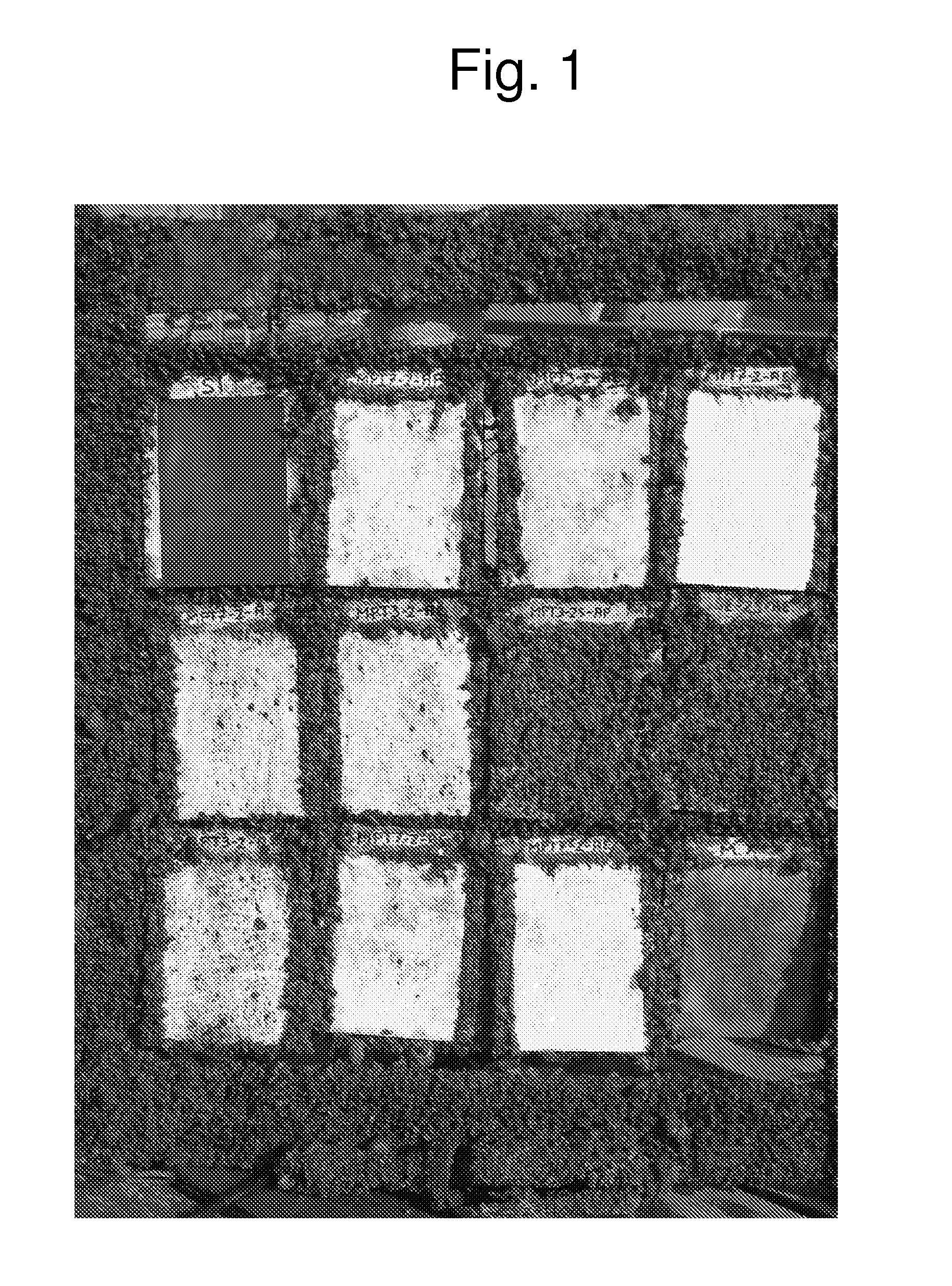 Anti-fouling composition comprising an aerogel