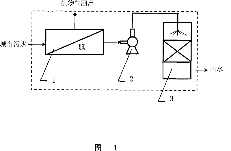 Integral anaerobic film-biologic reactor-natural ventilating biologic filter pool sewage treating technique