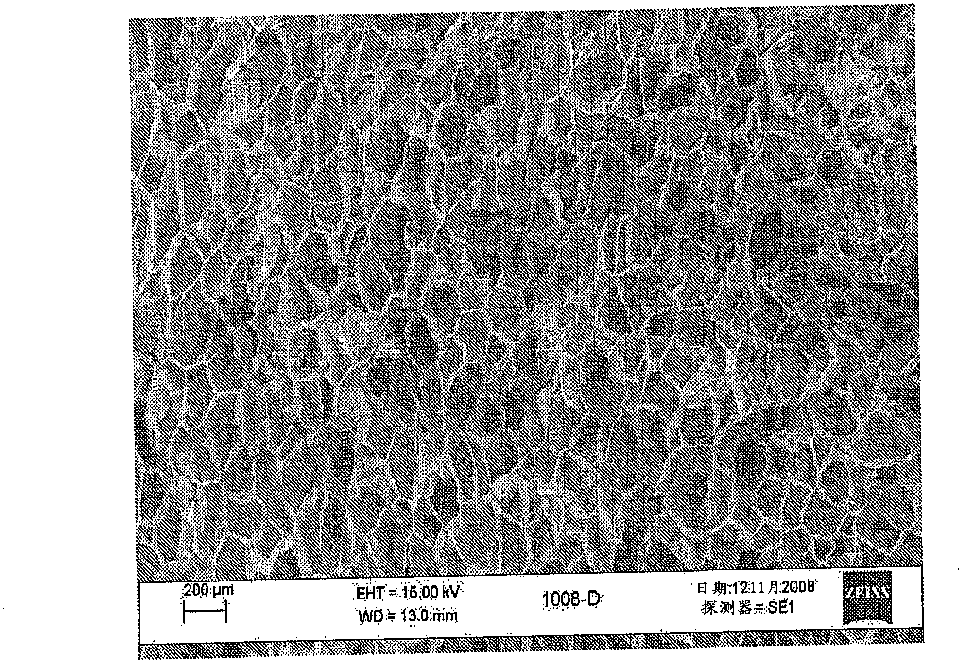 Porous carbon-containing compounds as water carriers and cell size controlling agents for polymeric foams