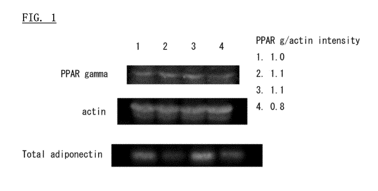 Adiponectin secretion regulator