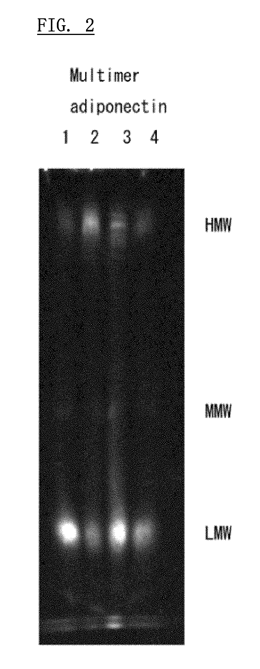 Adiponectin secretion regulator