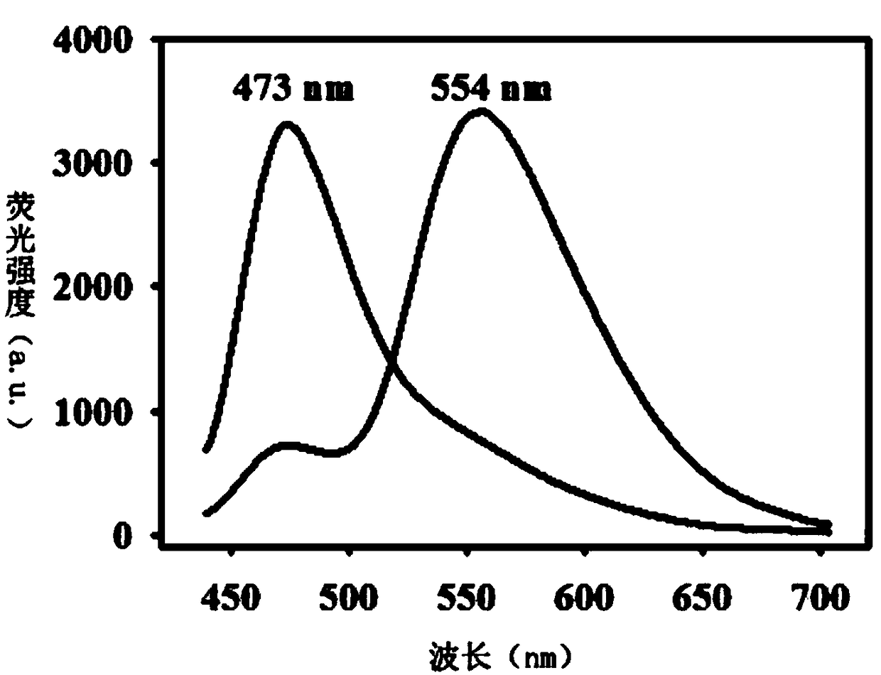 Fluorescent probe for detecting hydrogen peroxide, and synthesis method and application thereof