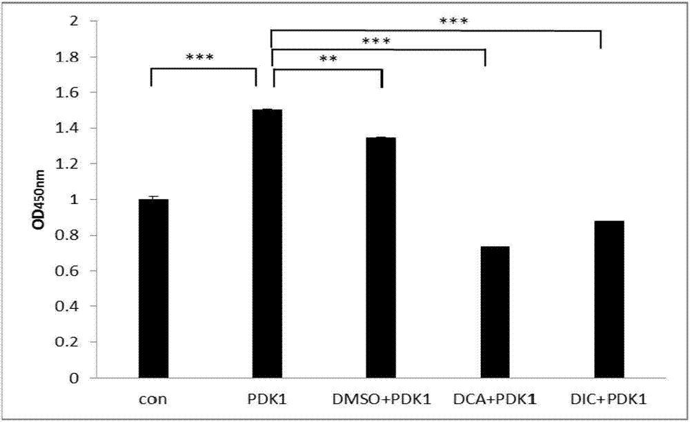 PDK1 inhibitor, composition containing inhibitor and application