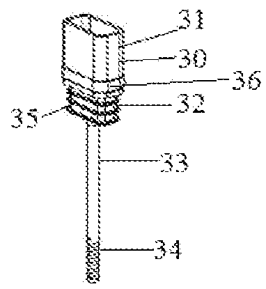 Feces sampling and detecting device and method for detecting feces based on the device