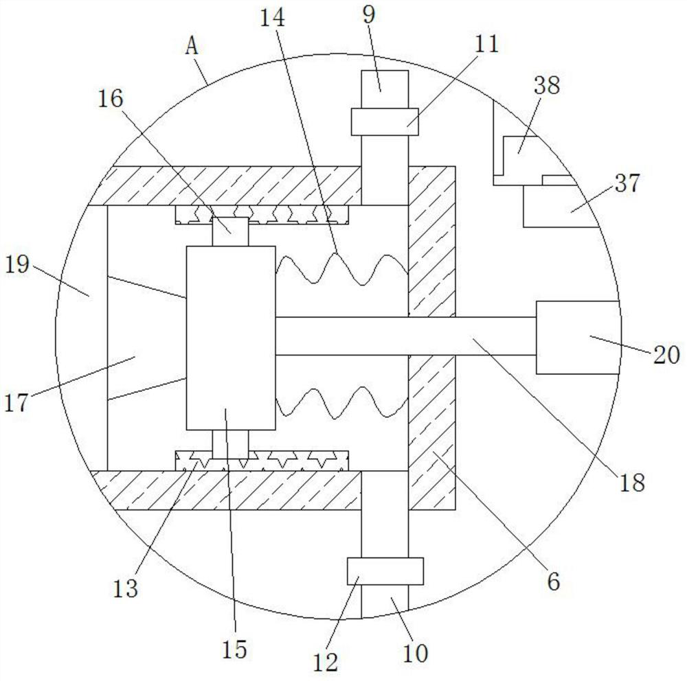 Novel pumpkin seed stir-frying device