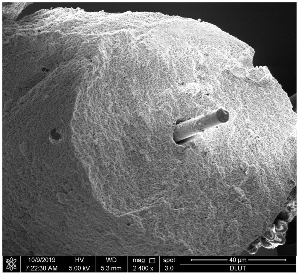 A method for preparing continuous carbon fiber toughened ultra-high temperature ceramic matrix composites by electrophoretic deposition