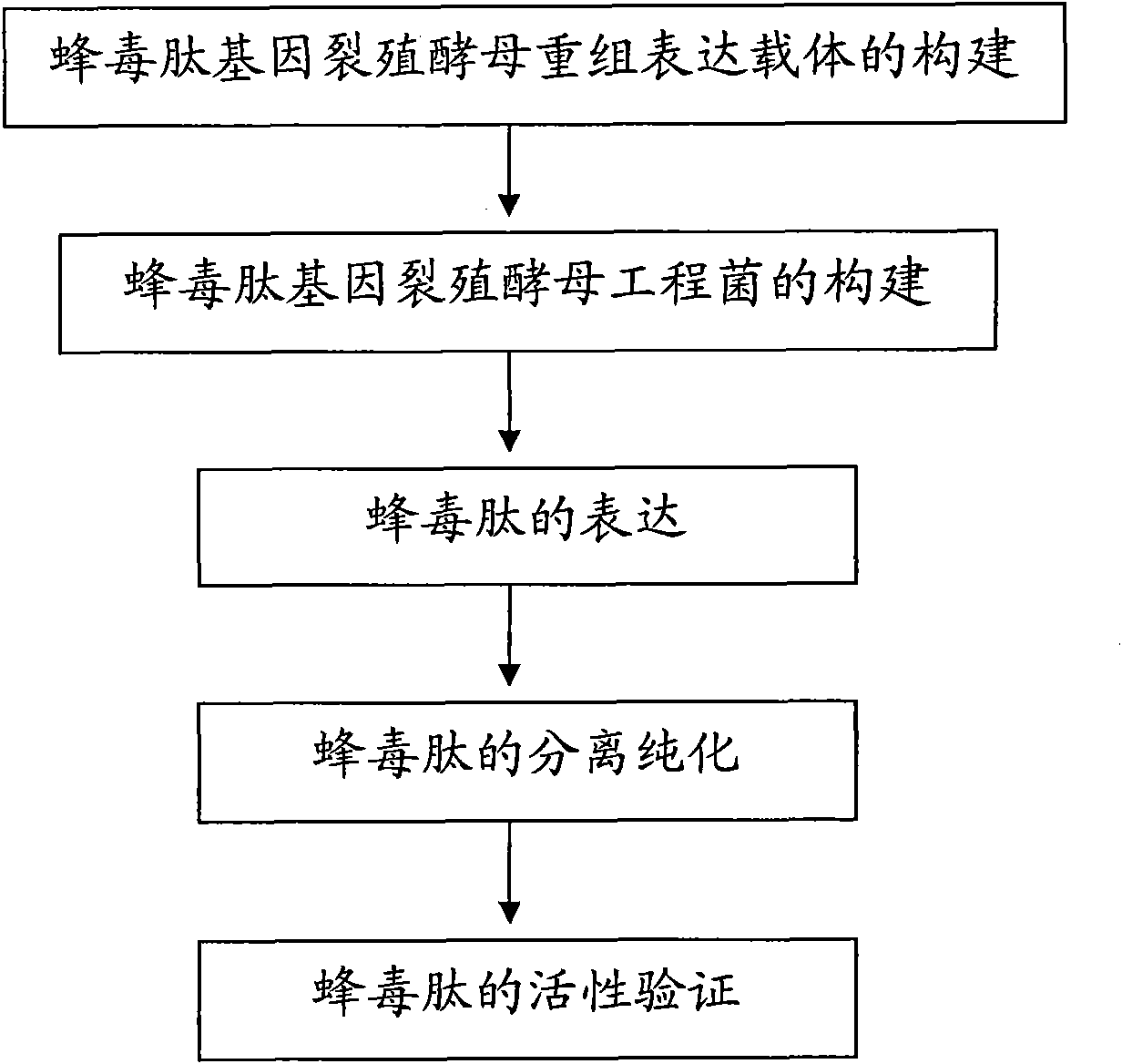 Melittin gene fission yeast engineering bacteria and construction method and application thereof