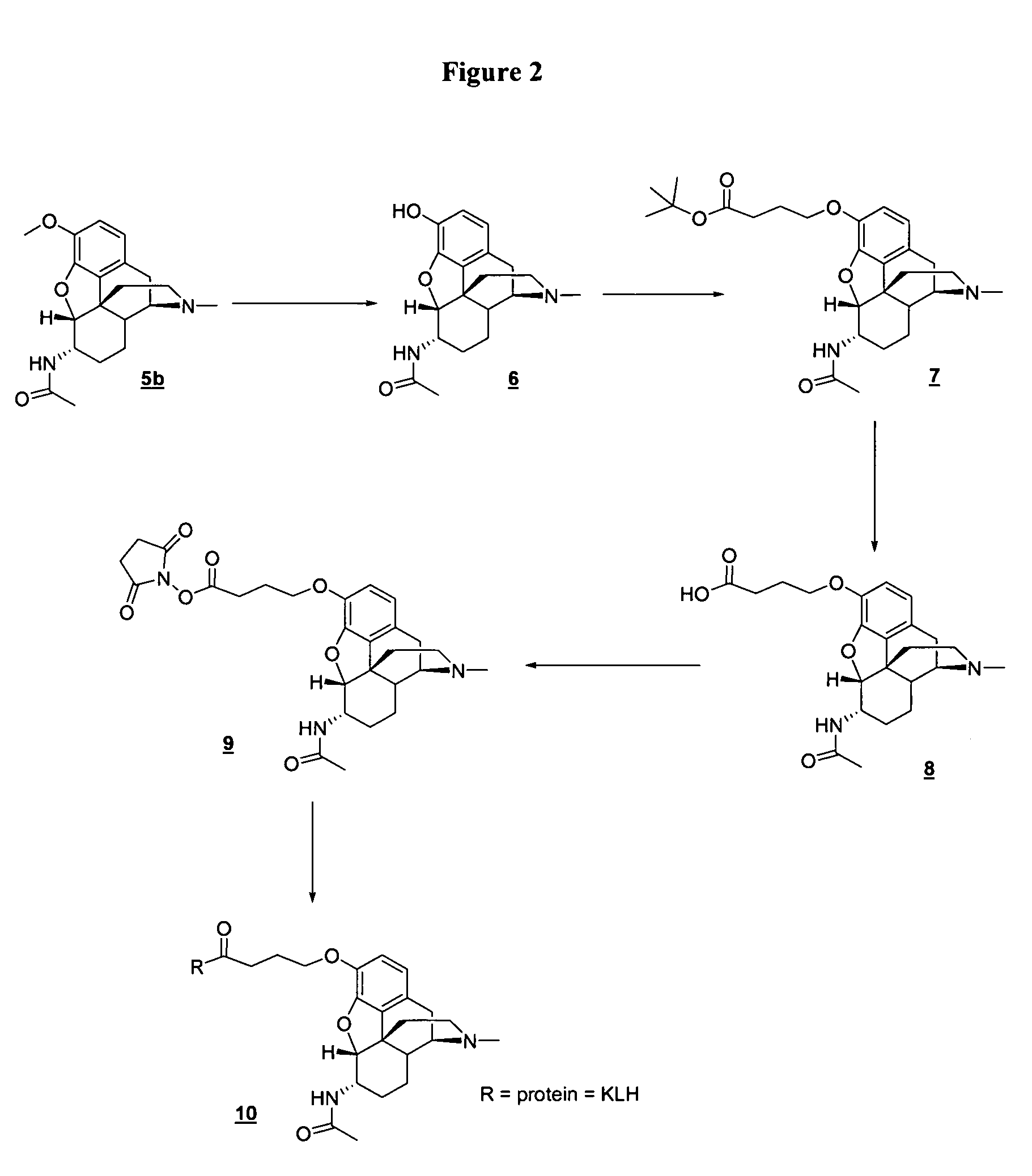 6-monoacetylmorphine derivatives useful in immunoassay