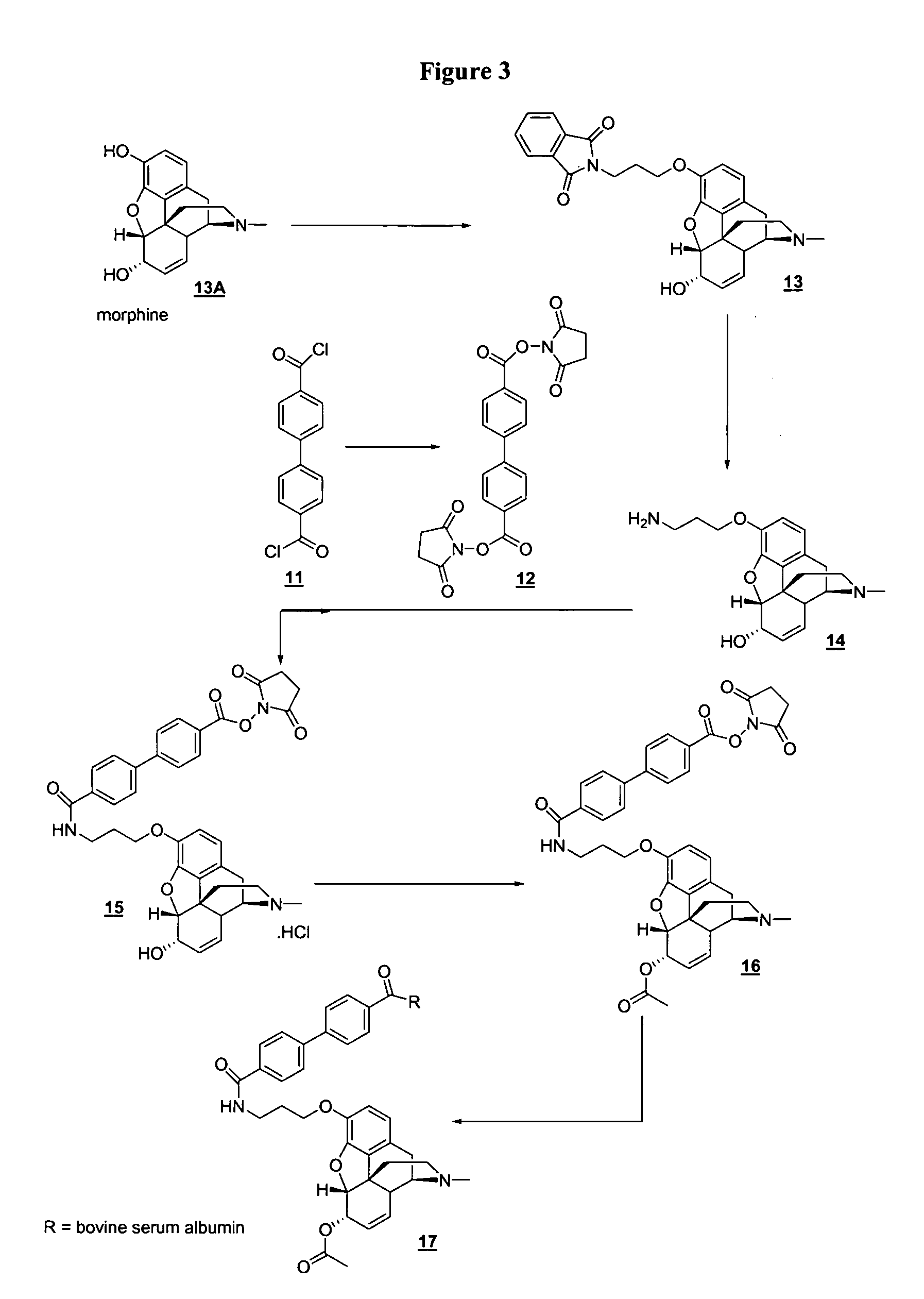 6-monoacetylmorphine derivatives useful in immunoassay