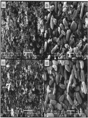 Carbon-based magnetic wear-resisting particle for friction material and preparation method thereof