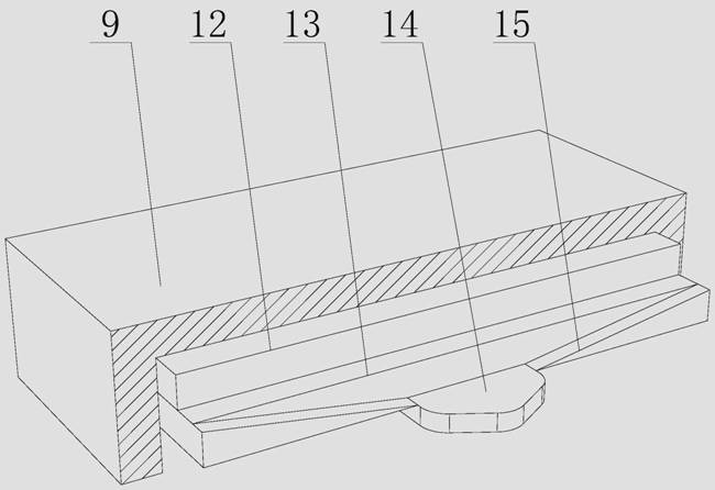 Packing device for beef steak packaging bags