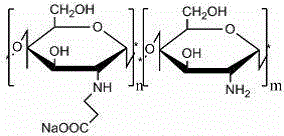 Carboxyethyl chitosan fiber and preparation method thereof
