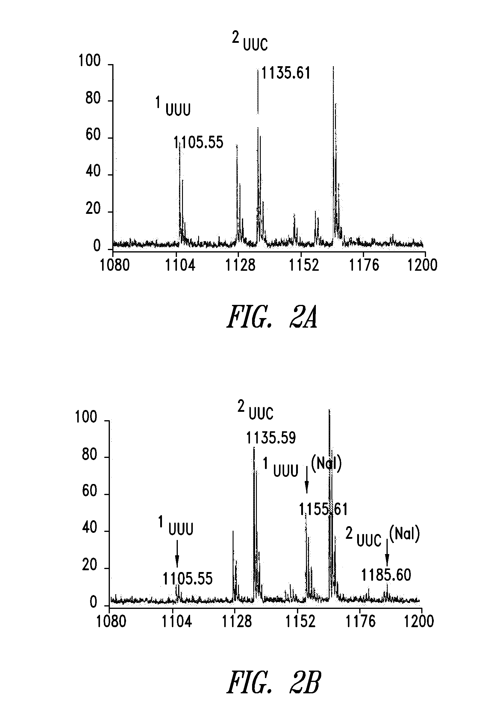 Methods of incorporating amino acid analogs into proteins