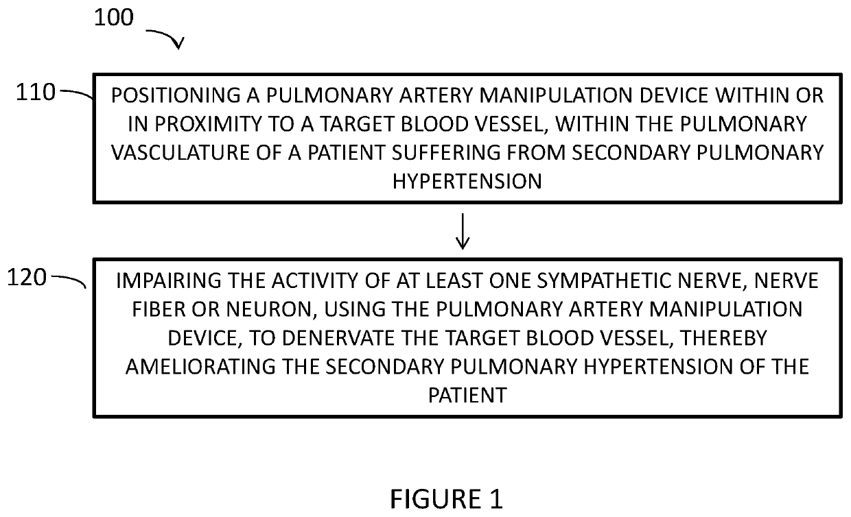 Method for treating secondary pulmonary hypertension