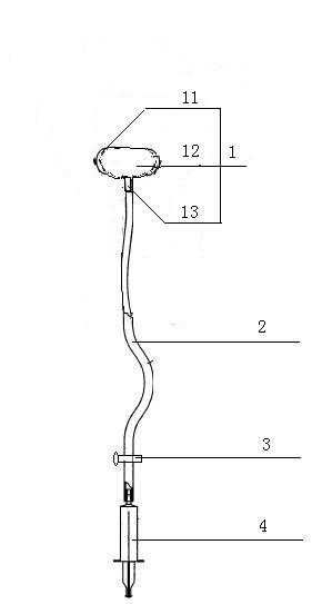 Cervical ripening ball sac