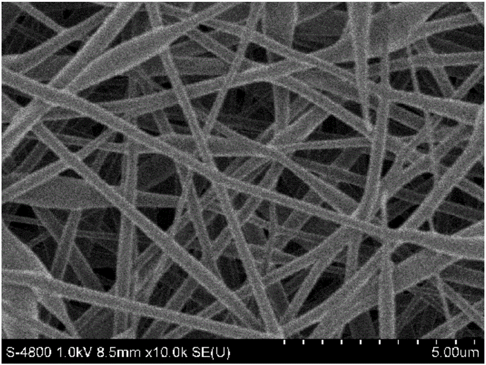 Antibacterial nano fiber and preparation method thereof