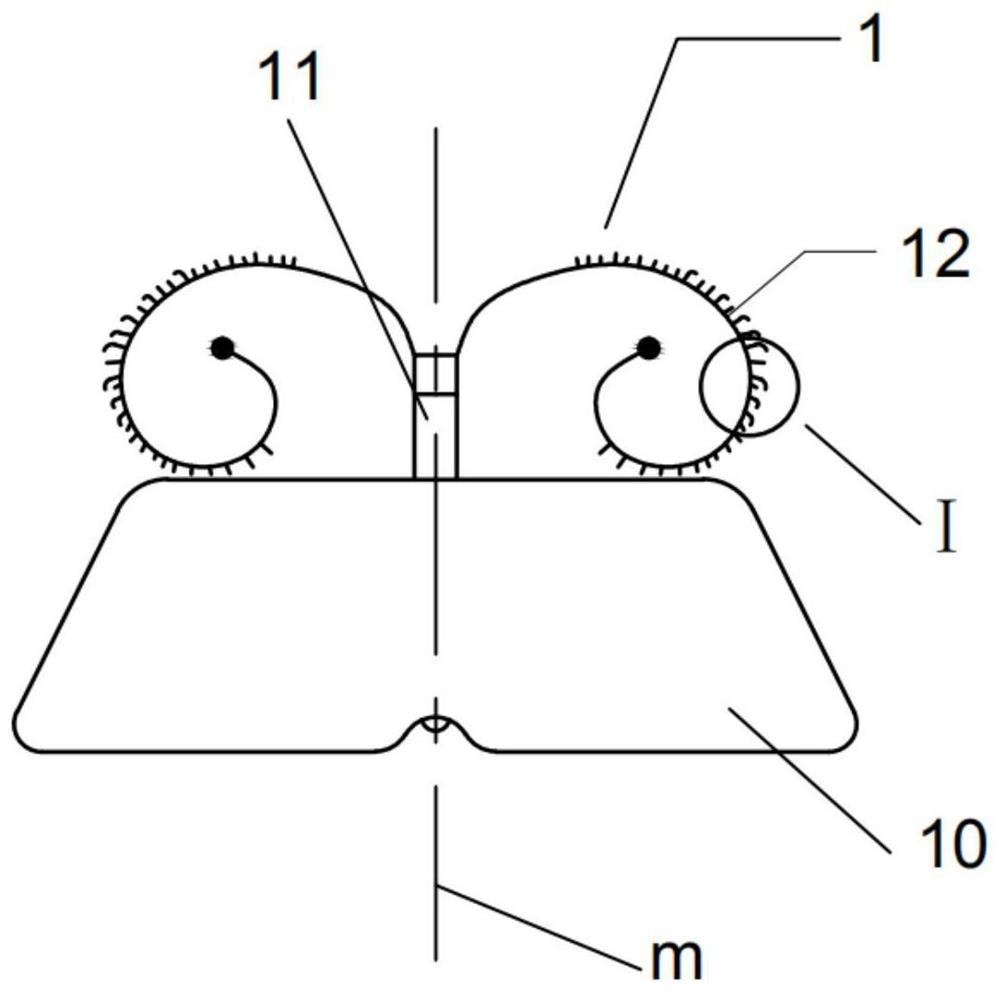 Left auricle occluder with bionic spinule attachment structures