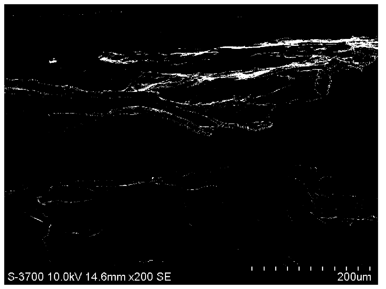 Preparation method of collagen matrix composite biological film for guided tissue regeneration