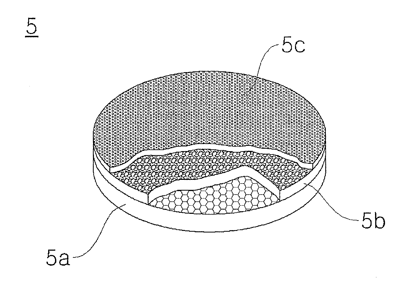 Composite separation membrane structure for gas sensor, gas sensor apparatus comprising the same, and method and apparatus for measuring gas concentration using the same