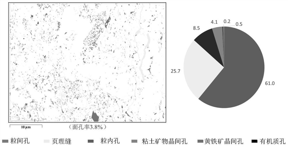 A method for evaluating the formation and enrichment of continental mud shale oil in large freshwater lake basins