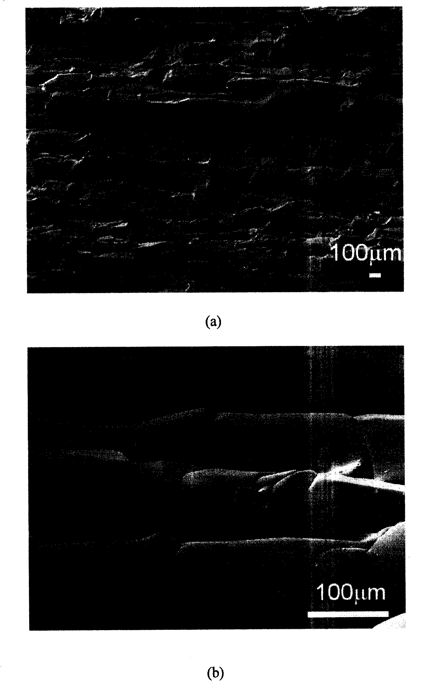 Preparation of oriented hole silicon carbide porous ceramic