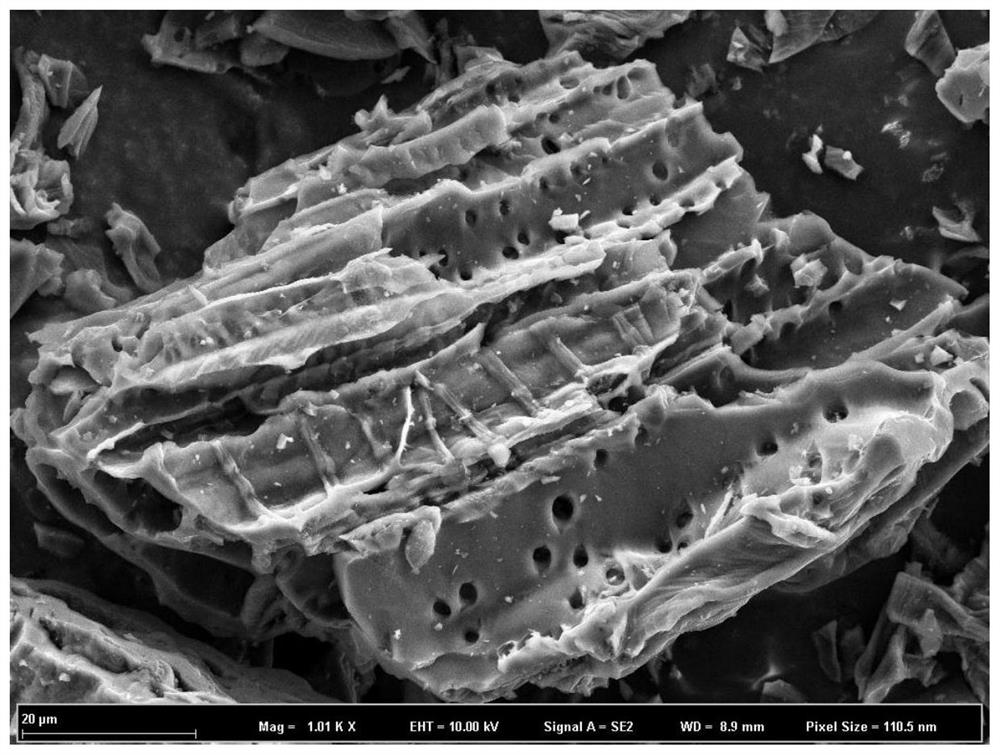 A kind of preparation method of biomass hard carbon material for sodium ion battery negative electrode