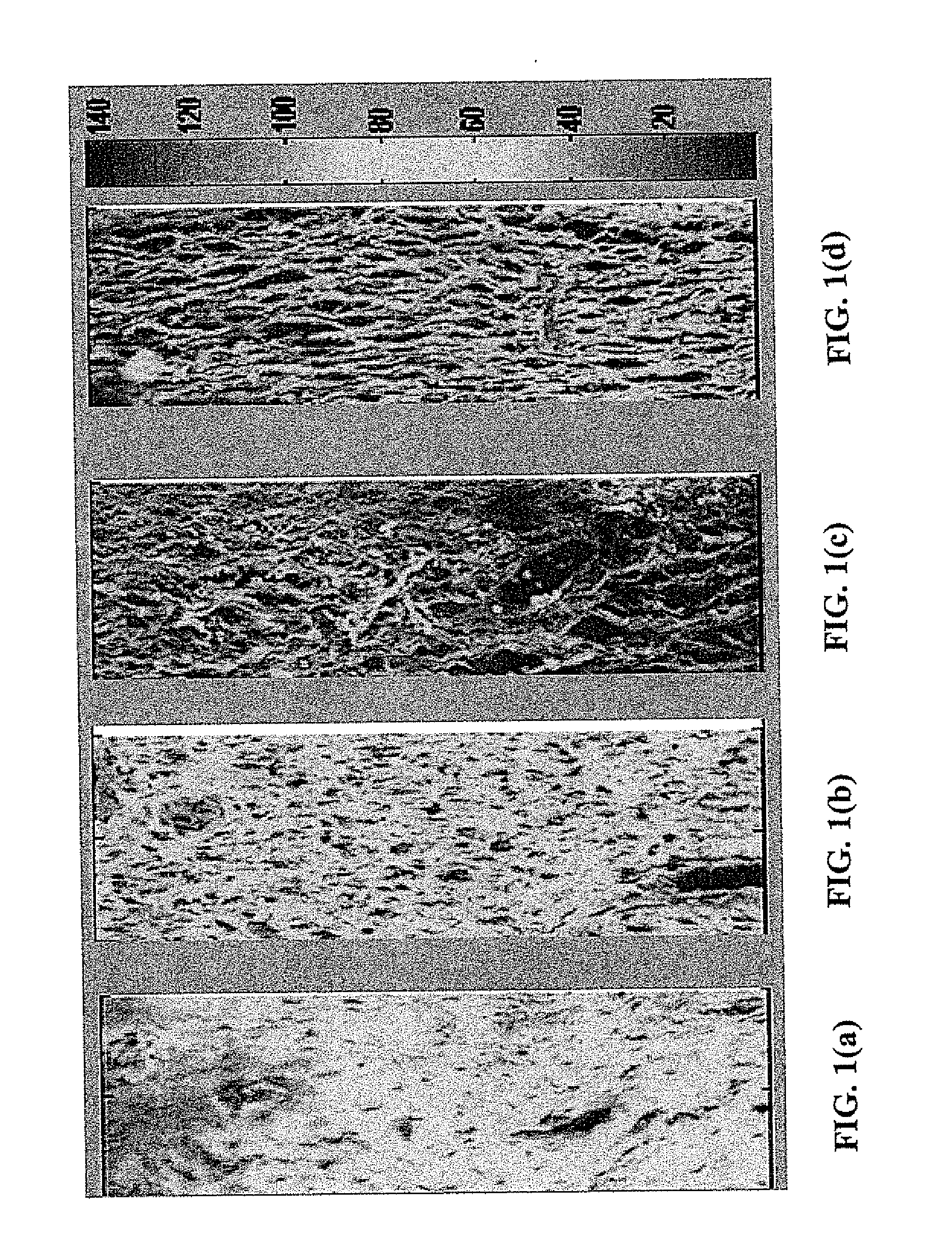 Spatial frequency spectrometer for and method of detection of spatial structures in materials