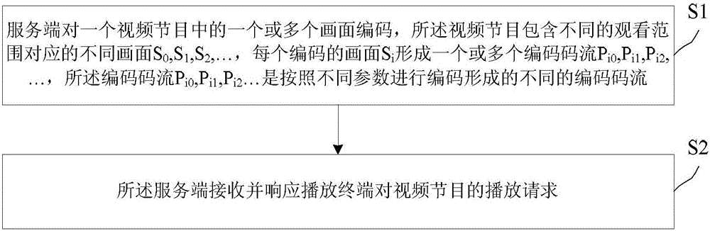 Method and device for processing network video images