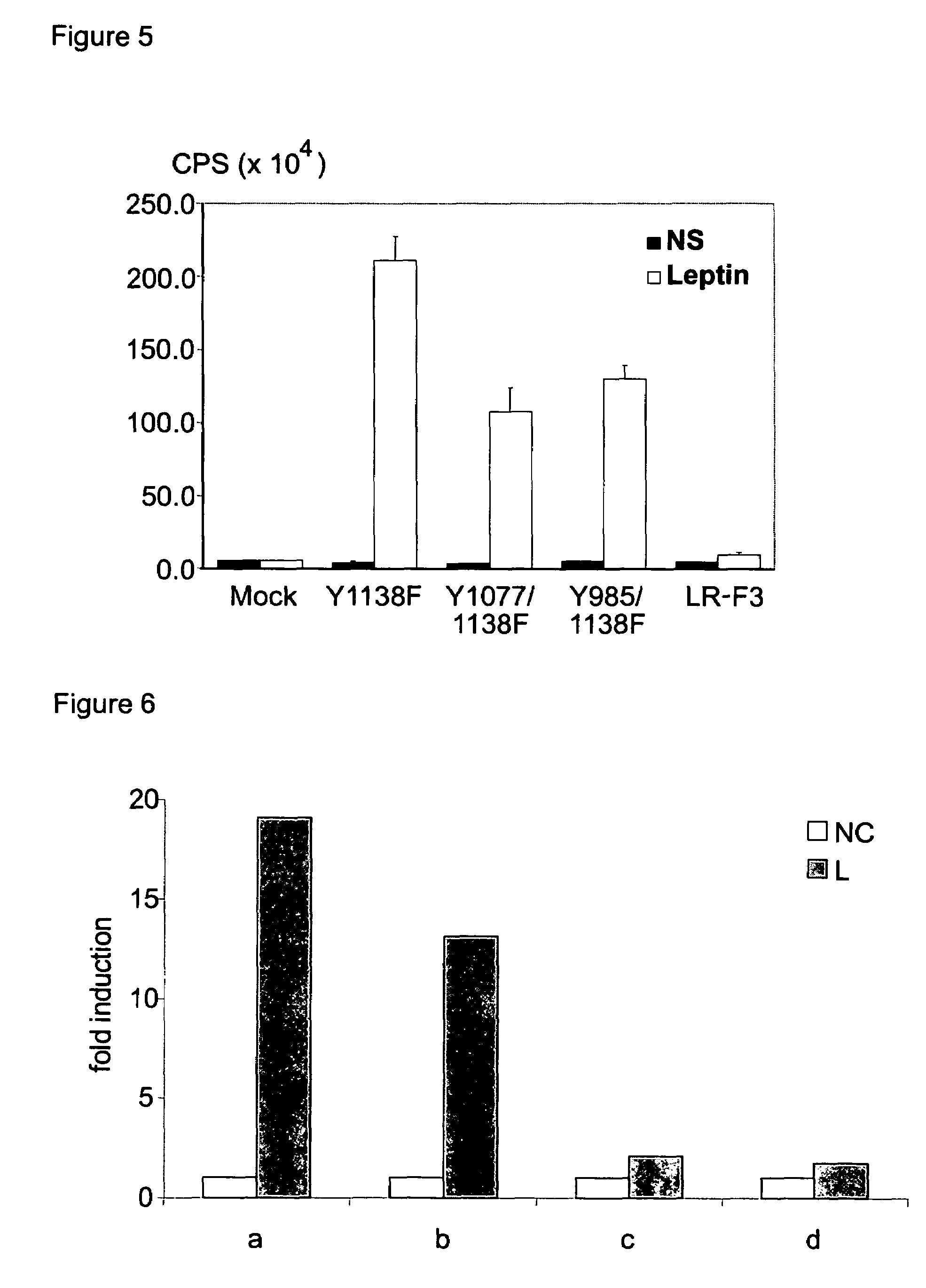 Functional fragment of the leptin receptor