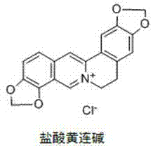Application of coptisine serving as indoleamine 2, 3-dioxygenase (IDO)inhibitor