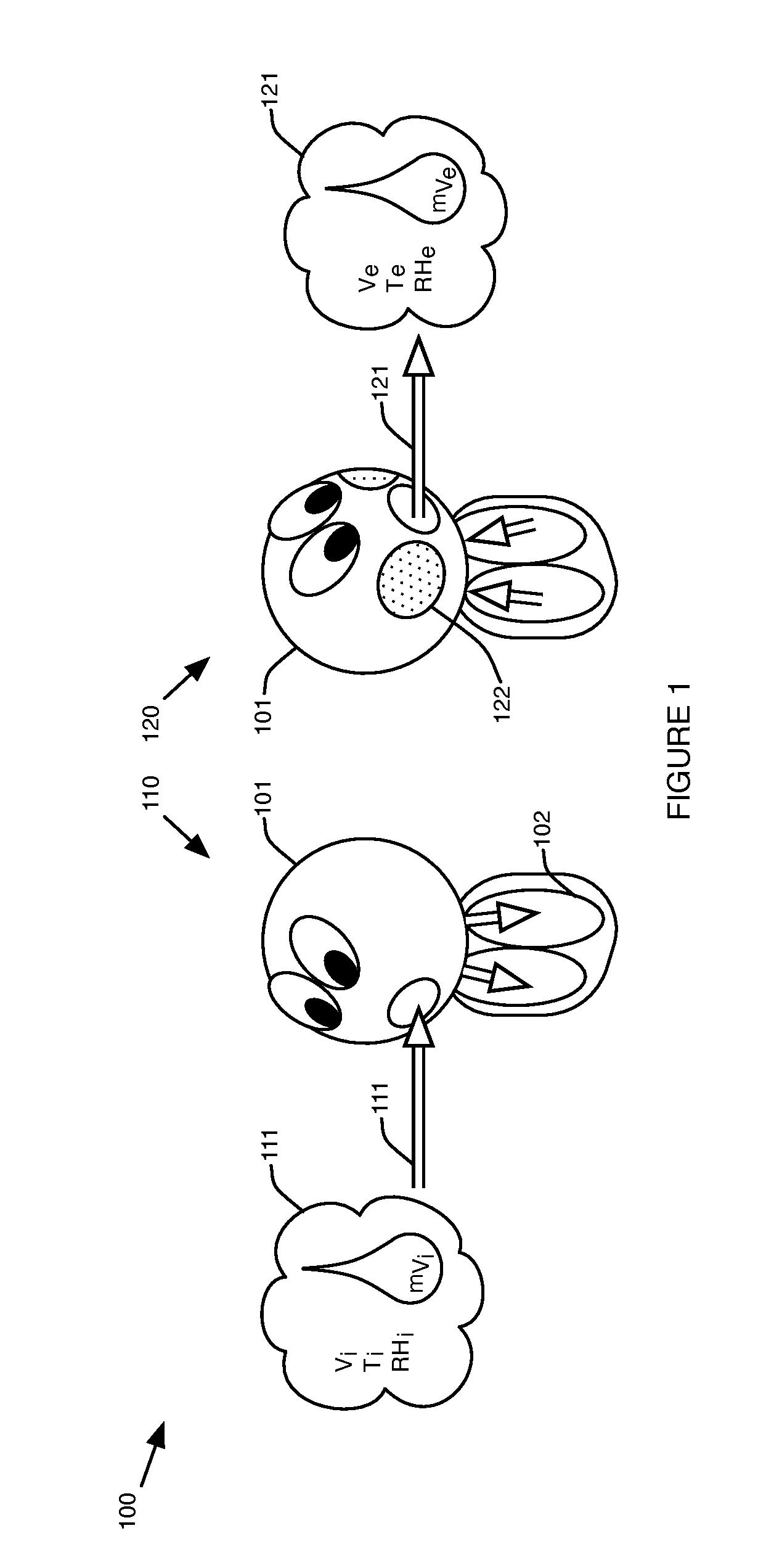 System and method for monitoring human water loss through expiration and perspiration