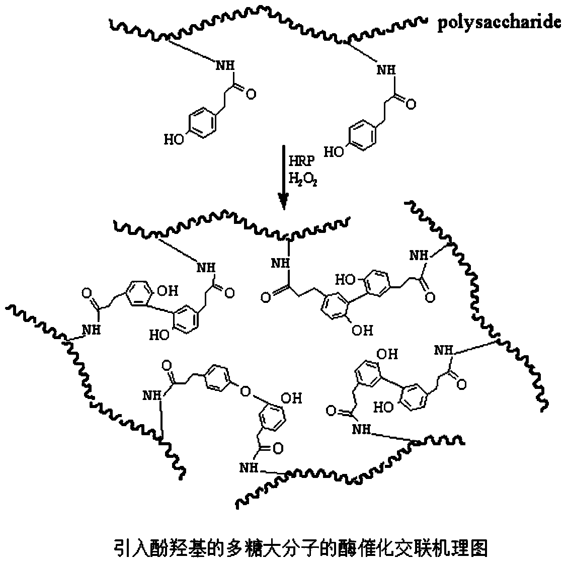Biomacromolecule interpenetrating polymer network hydrogel and preparation method thereof