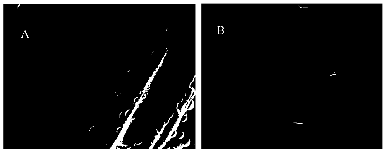 Method for preparing carbon-loaded heteropoly acid material from wood fiber biomass