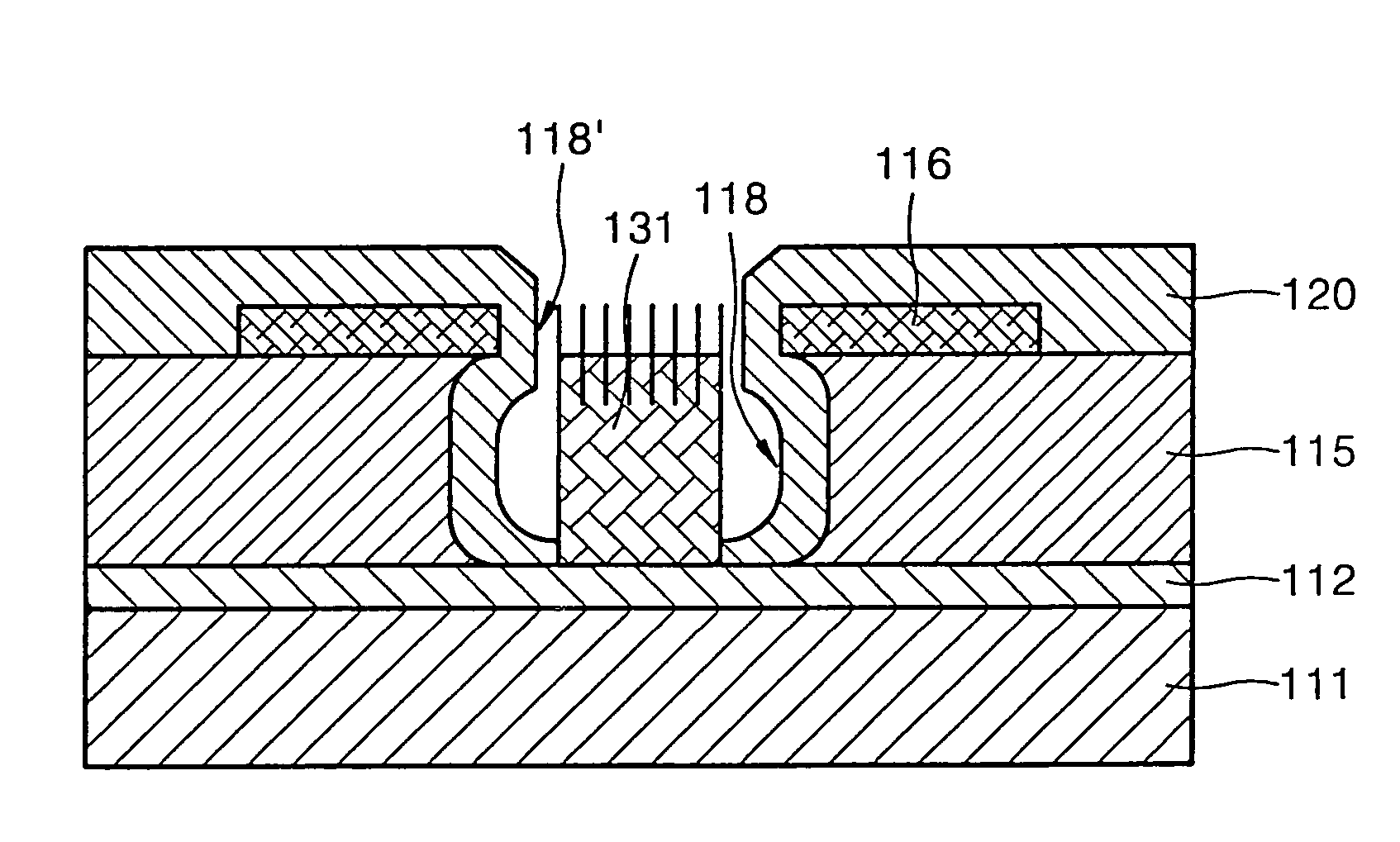 Triode structure field emission display device using carbon nanotubes and method of fabricating the same