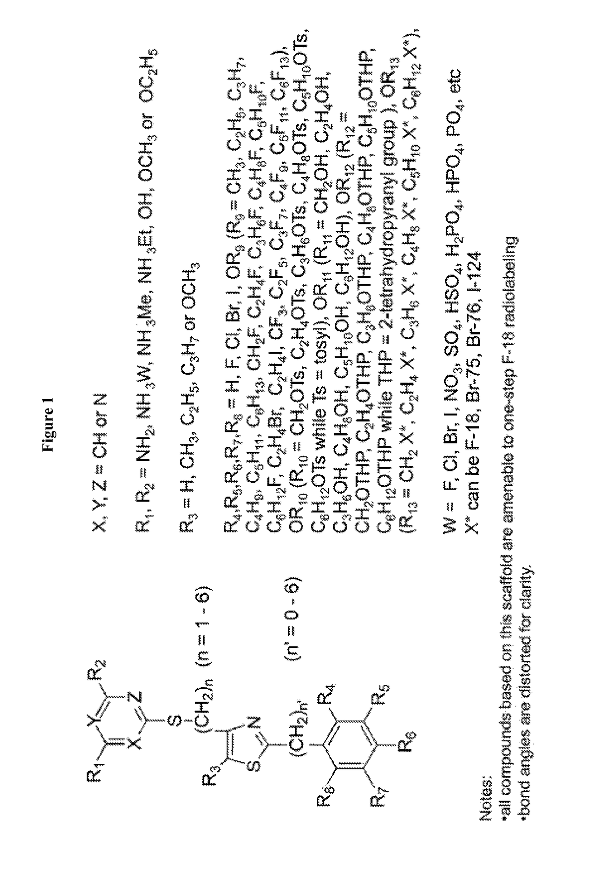 Deoxycytidine kinase binding compounds
