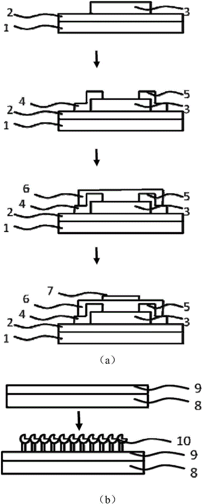 Thin film transistor biosensor and preparation method thereof