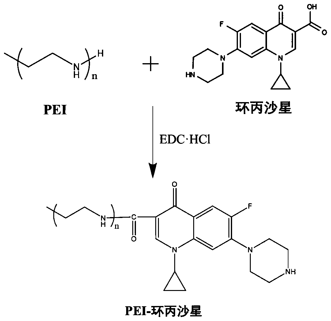 A kind of palladium nanoparticles with pei-ciprofloxacin micelles as template and preparation method thereof