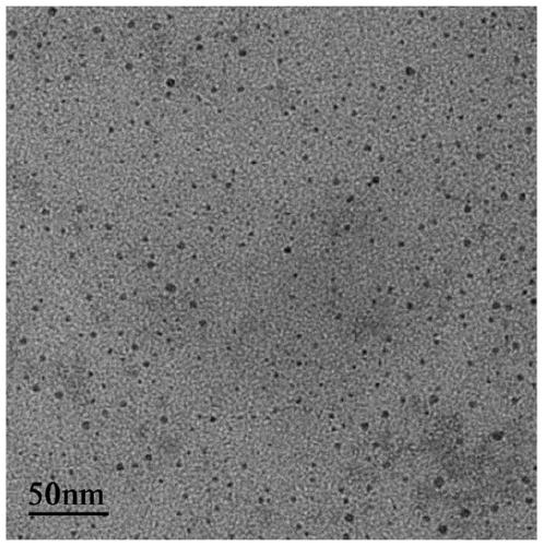 A kind of palladium nanoparticles with pei-ciprofloxacin micelles as template and preparation method thereof