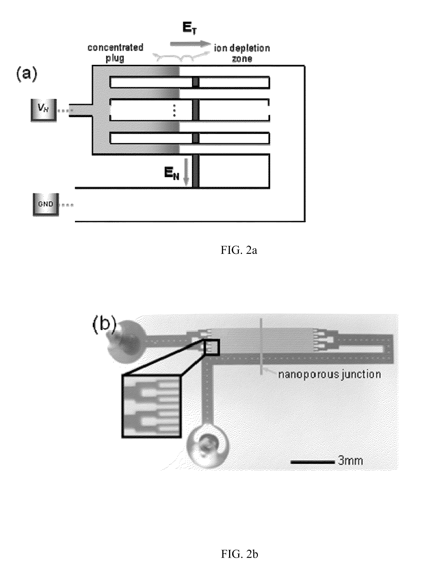 Method for Building Massively-Parallel Preconcentration Device for Multiplexed, High-Throughput Applications