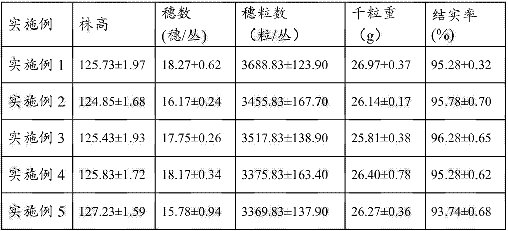 Method for promoting heavy metal cadmium accumulation in rice stems by 24-epicastasterone and rice plants cultivated according to method