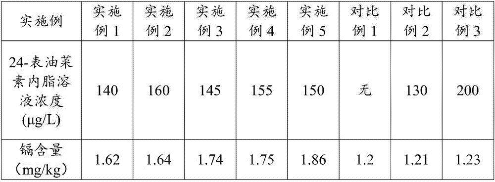 Method for promoting heavy metal cadmium accumulation in rice stems by 24-epicastasterone and rice plants cultivated according to method