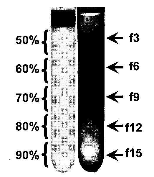 Method for centrifugally separating oil soluble nano particles by organic density gradient