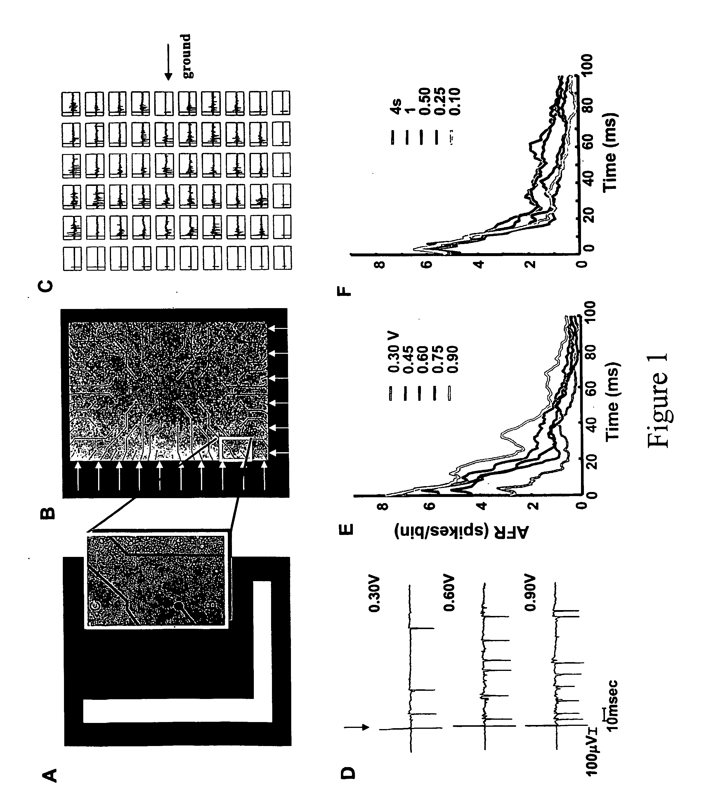 Method and device for image processing and learning with neuronal cultures