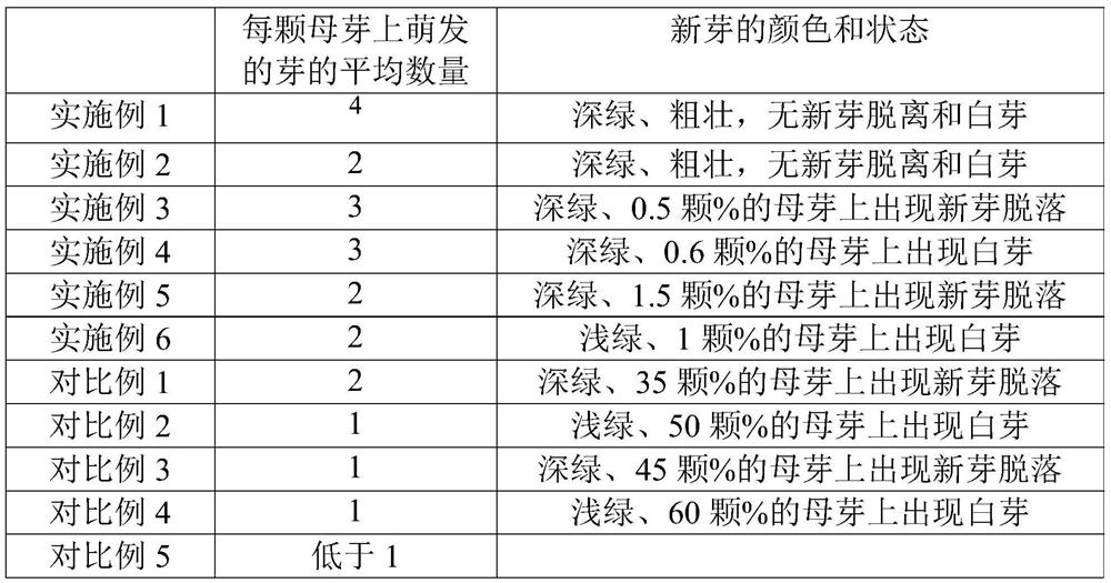 Inoculation method for shortening rapid propagation growth cycle of phalaenopsis