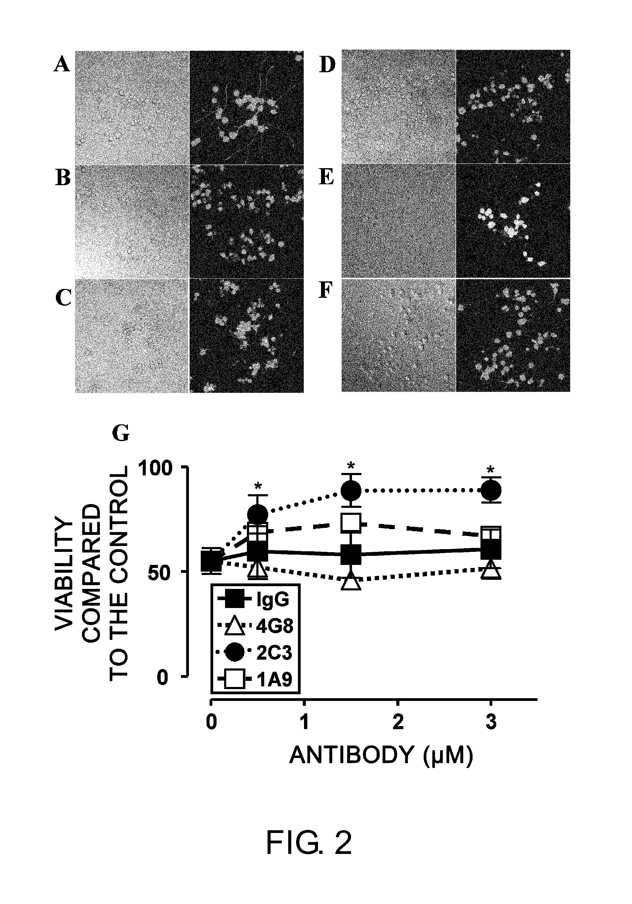 Antibody Capable of Binding Specifically to AB-Oligomer, and Use Thereof