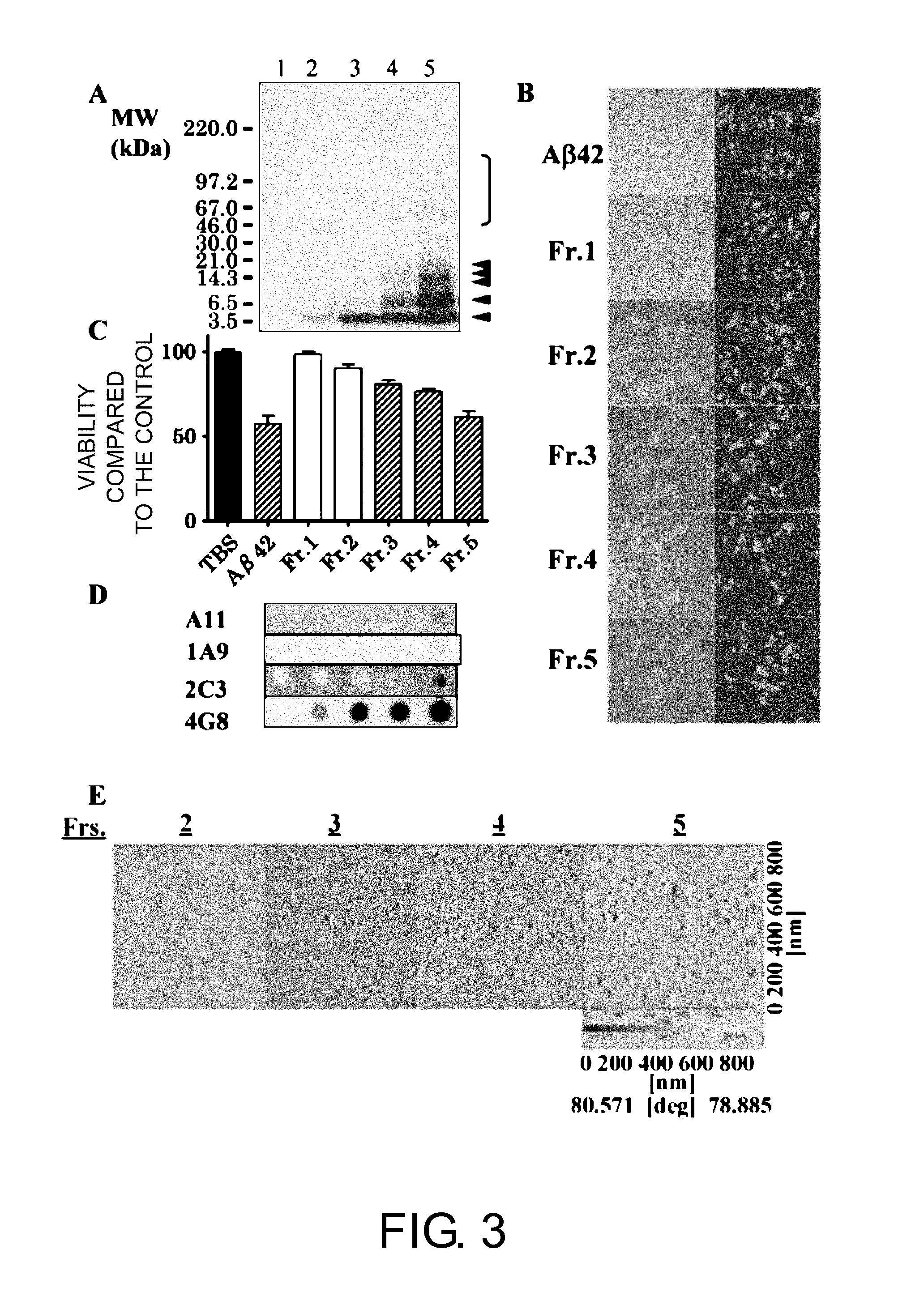 Antibody Capable of Binding Specifically to AB-Oligomer, and Use Thereof