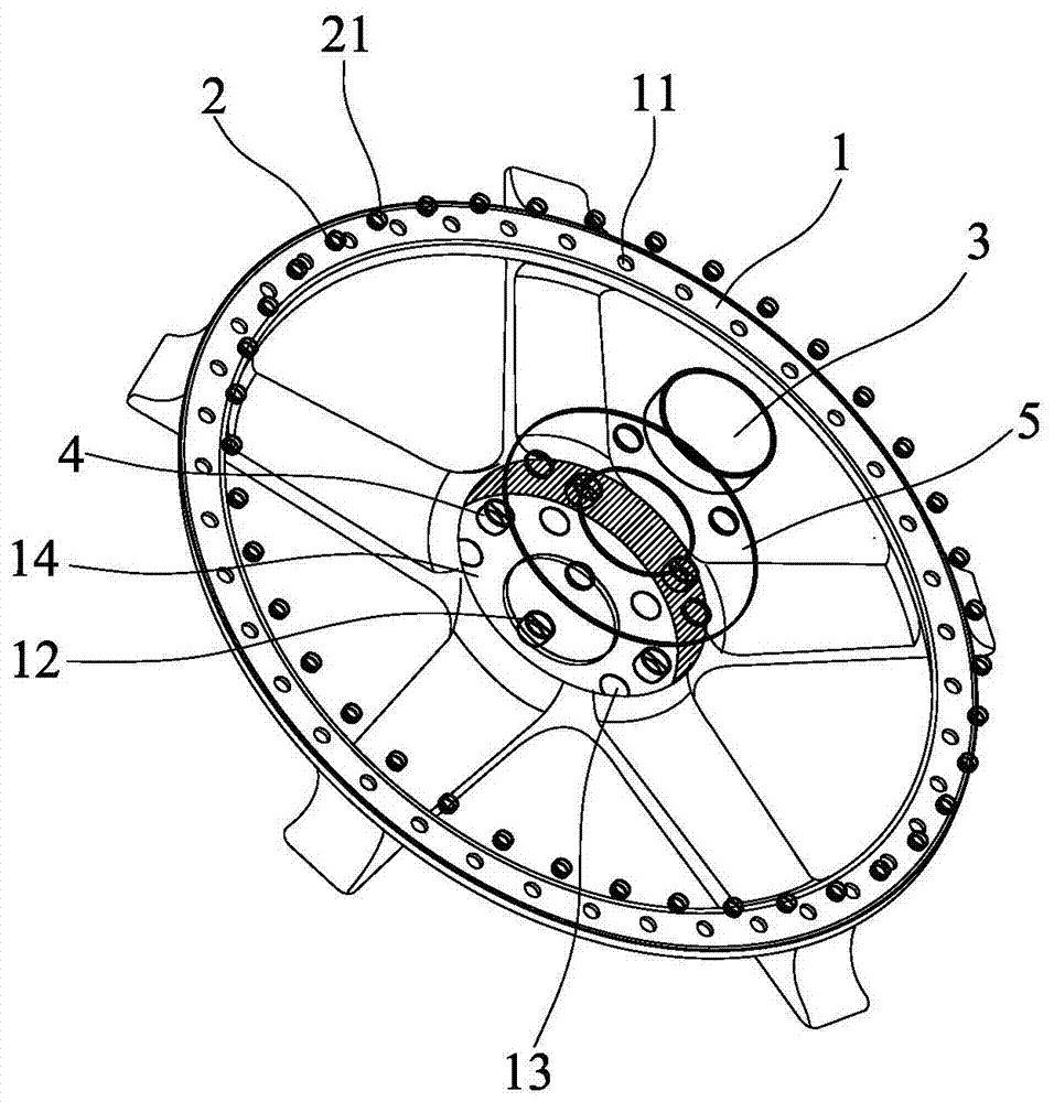 Carbon fiber hub spoke