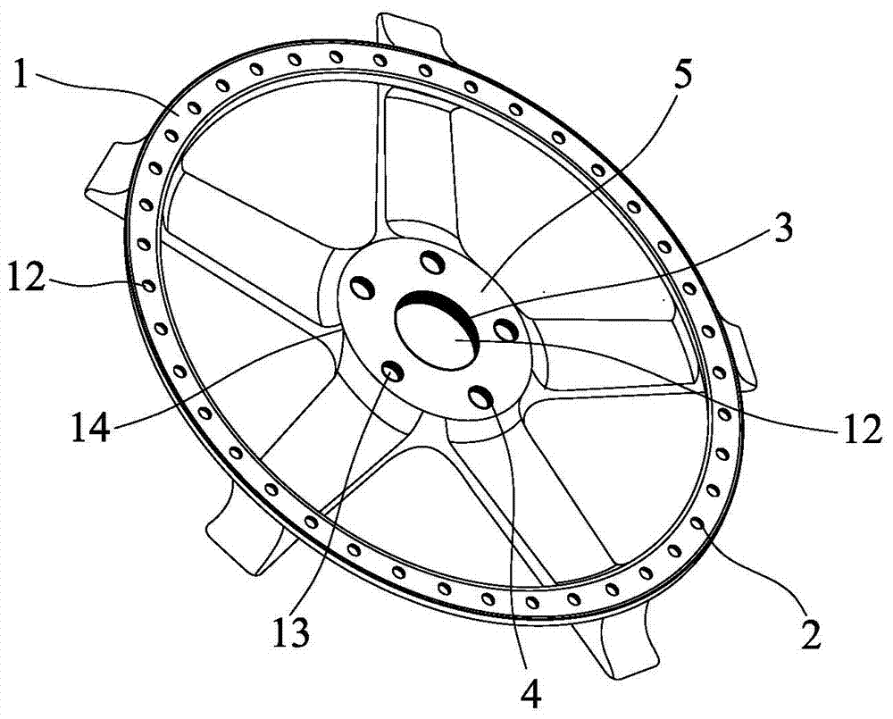 Carbon fiber hub spoke