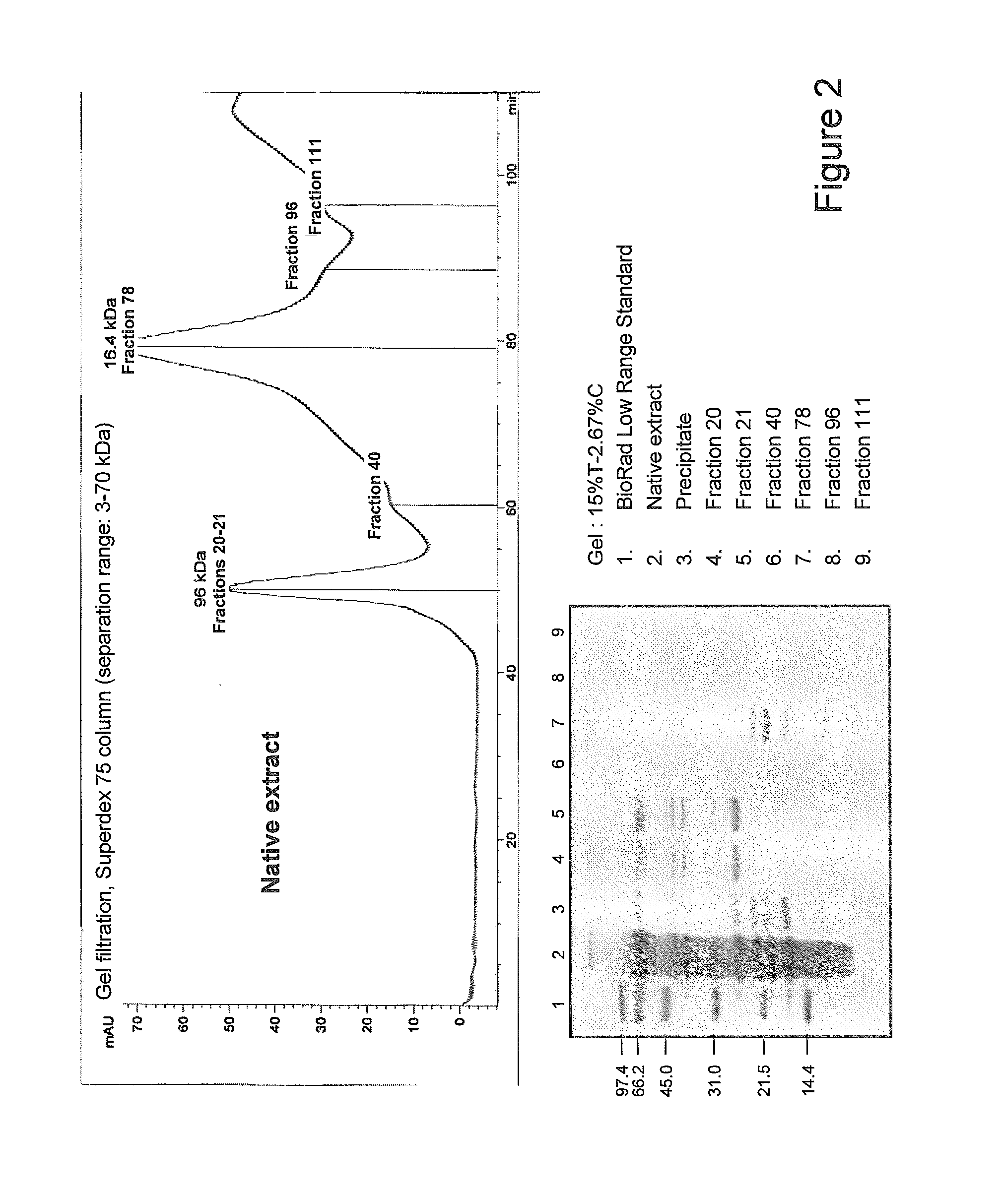 Process for producing an allergen extract