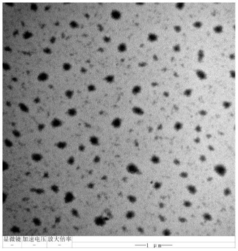 Cross-linked imidazole polyether ether ketone anion exchange membrane for fuel cell and preparation method thereof